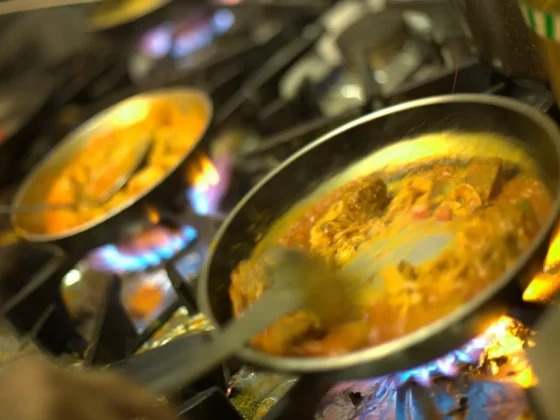 Kylling i Spinat / Lam el. Oksekød